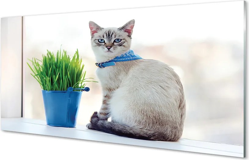 Panel szklany do Kuchni Dostojny Siedzący Kot
