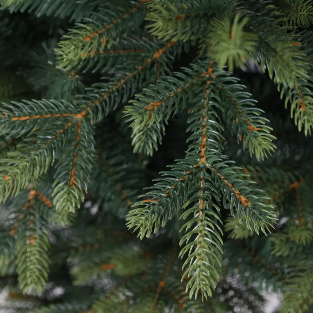Świerk kwitnący ekstra gęsty 180 cm