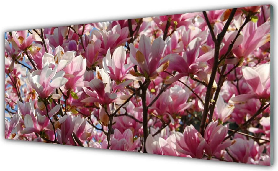 Panel Szklany Kwitnące Gałązki Drzewa