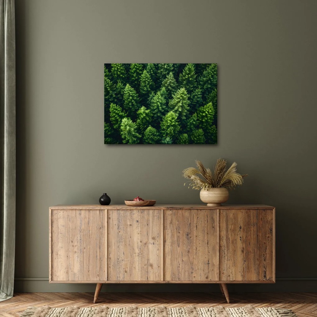 Obraz - Las (70x50 cm)
