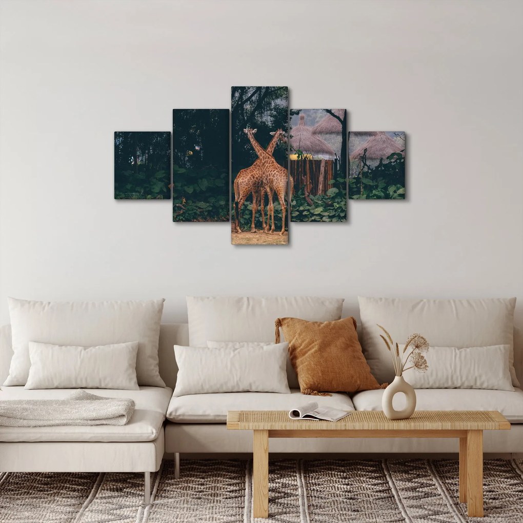 Obraz dwóch żyraf (125x70 cm)