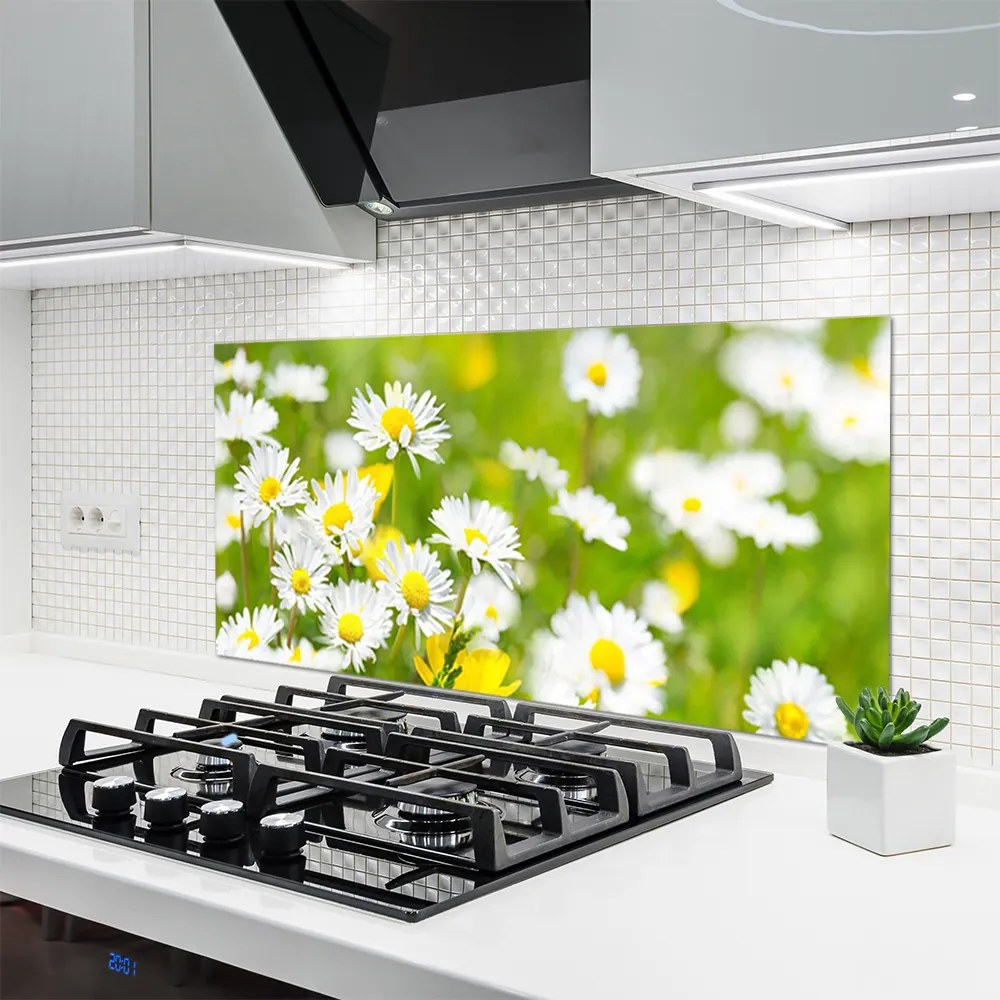 Panel Szklany do Kuchni Urok Polnej Stokrotki