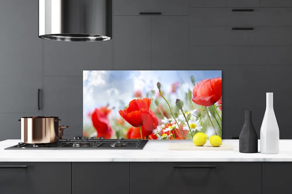 Panel Szklany Maki i Stokrotki na Łące