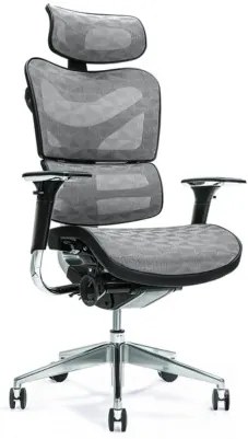 Fotel ergonomiczny biurowy wygodny Ergo 700, kolory do wyboru: czarny, granatowy, czerwony, zielony, szary. Regulowane oparcie, zagłówek i siedzisko. Najlepszy jeśli chodzi o nowoczesne fotele biurowe.