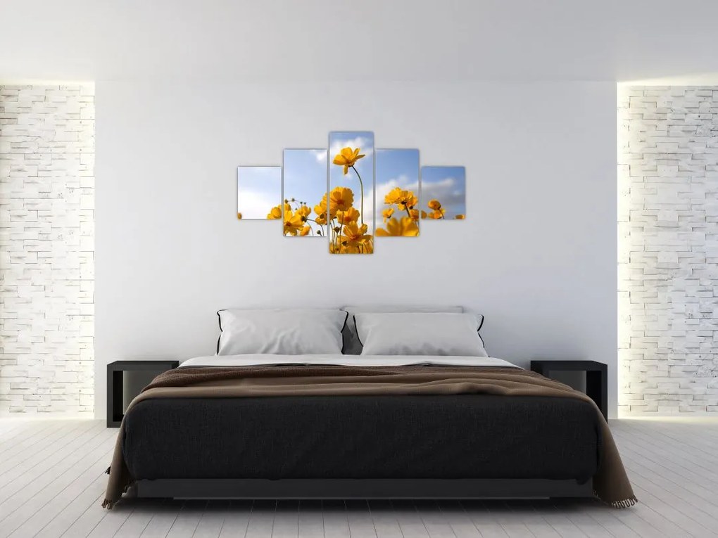 Obraz pola z jasnożółtymi kwiatami (125x70 cm)