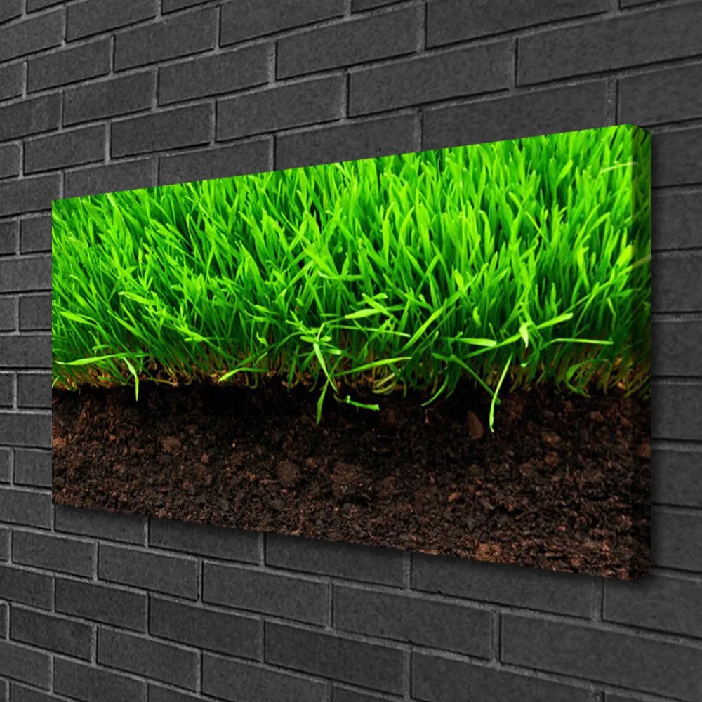 Obraz na płótnie Świeża Trawa o Poranku