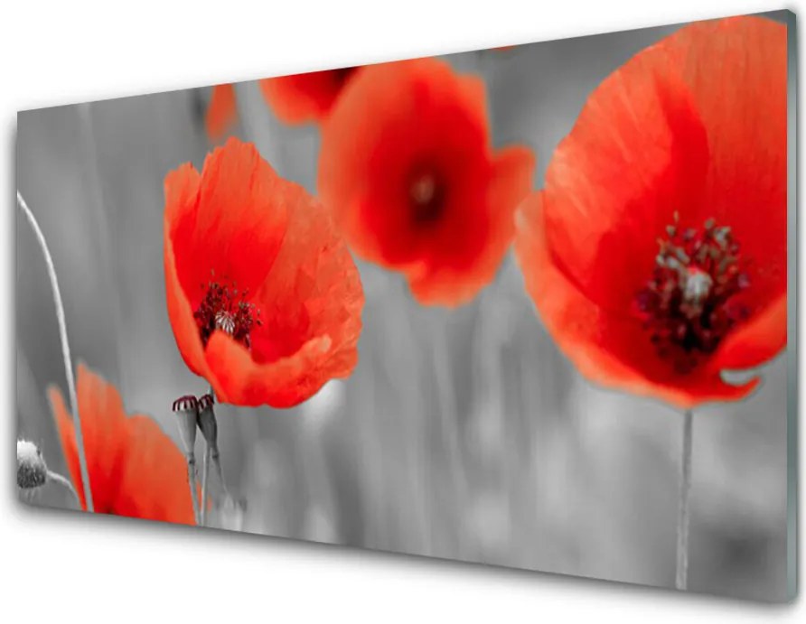 Panel Szklany do Kuchni Czerwone Maki w Polu