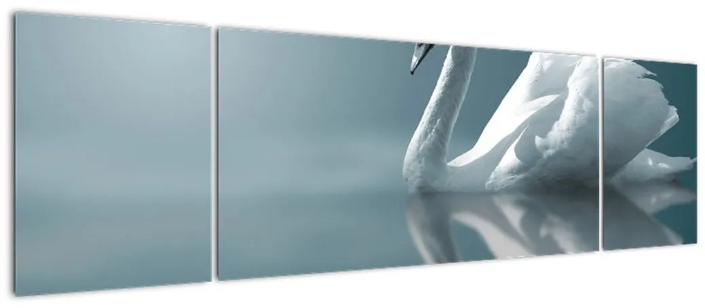 Obraz - Biały łabędź (170x50 cm)