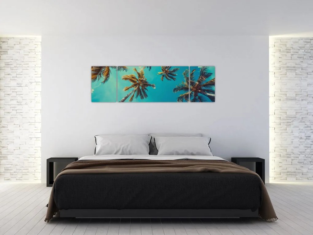 Obraz - Wysokie palmy (170x50 cm)