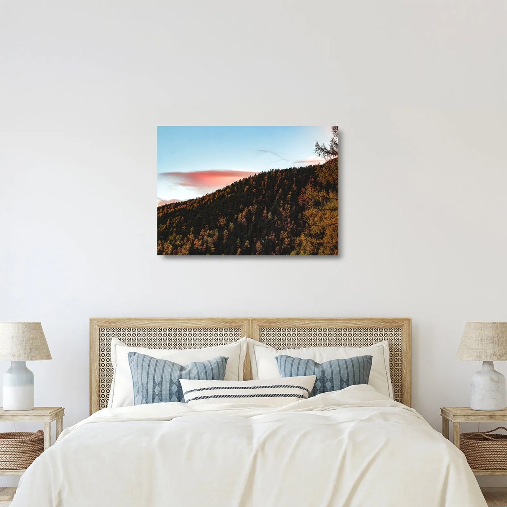 Obraz na szkle rudzików nad wzgórzem (70x50 cm)