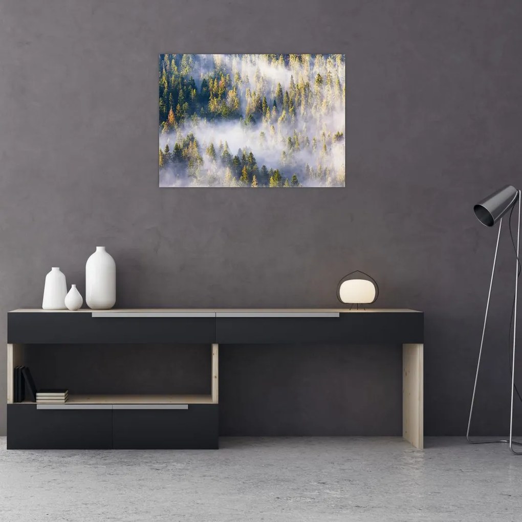 Obraz na szkle drzew we mgle (70x50 cm)