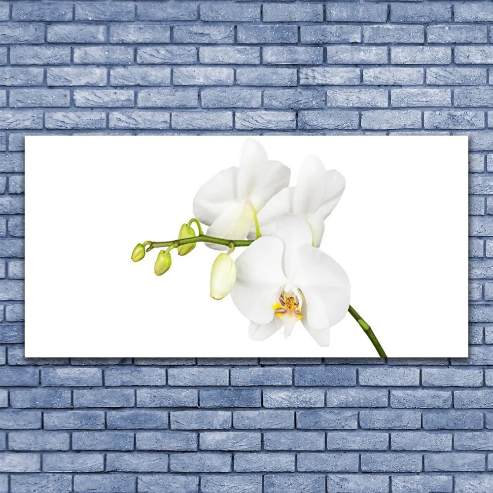 Obraz canvas Egzotyczna Elegancja Orchidei