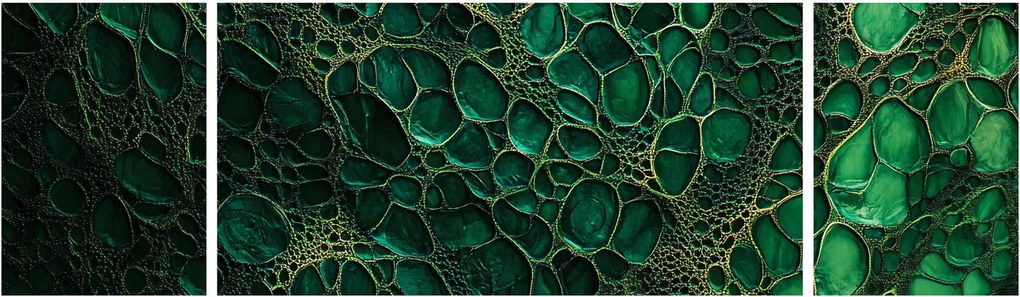 Obraz - Zielony mikroskopowy obraz (170x50 cm)