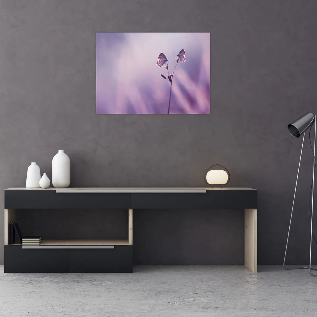 Obraz - Fioletowe motyle (70x50 cm)