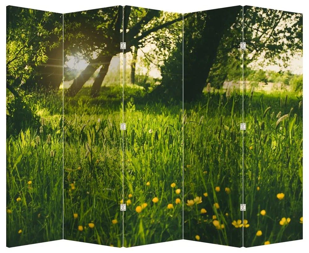 Parawan - Łąka (210x170 cm)