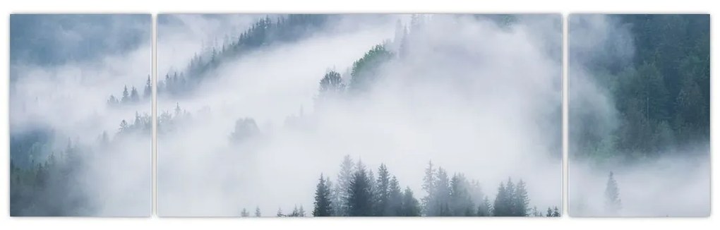Obraz - Drzewa we mgle (170x50 cm)