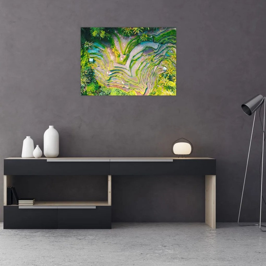 Obraz na szkle pól ryżowych z lotu ptaka (70x50 cm)