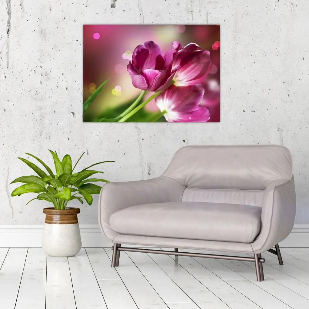 Obraz różowych tulipanów (70x50 cm)