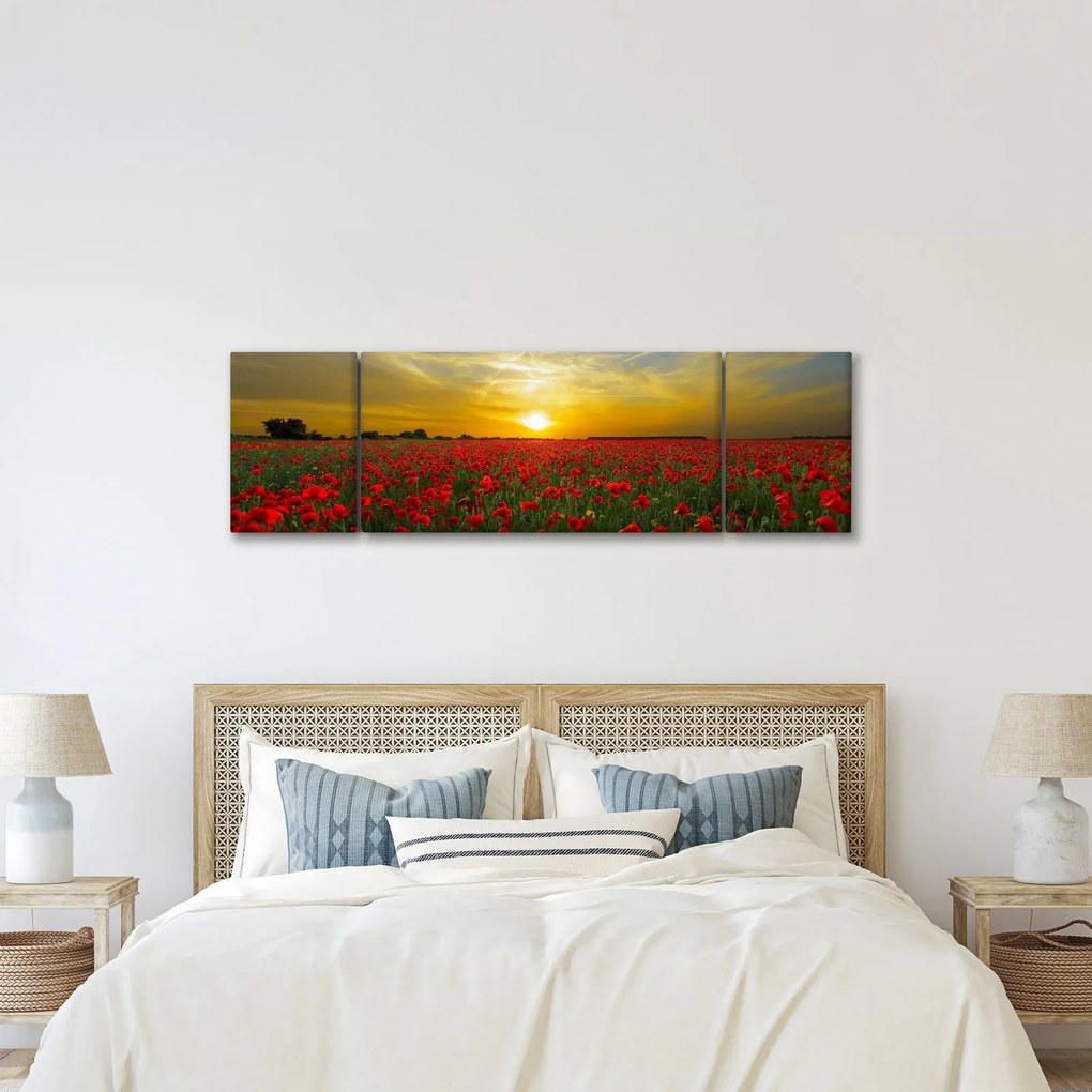 Obraz pola maków (170x50 cm)