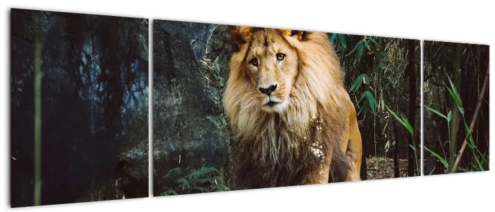 Obraz lwa w naturze (170x50 cm)