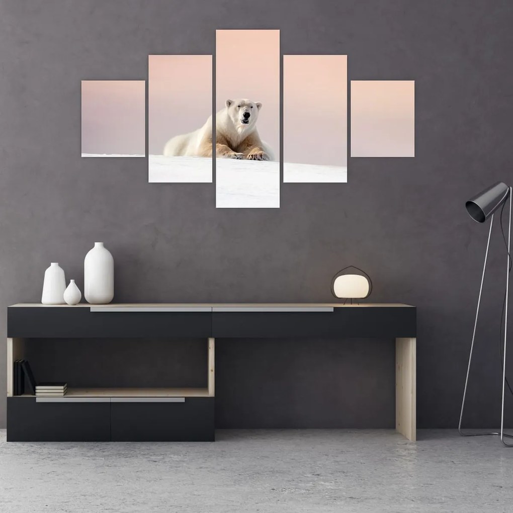 Obraz - Niedźwiedź polarny (125x70 cm)