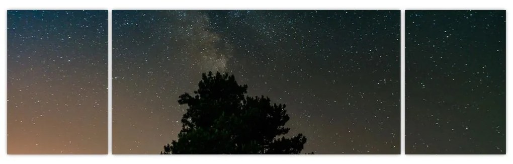 Obraz nocnego nieba z drzewami (170x50 cm)