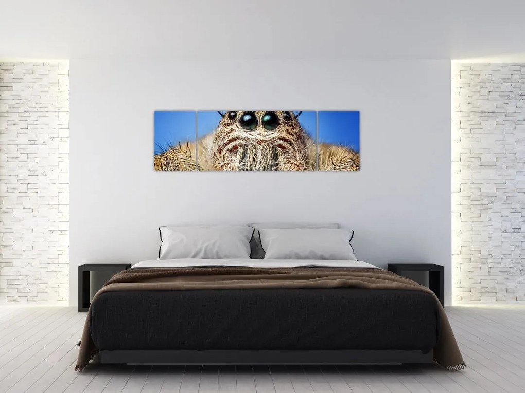 Obraz szczegółu pająka (170x50 cm)