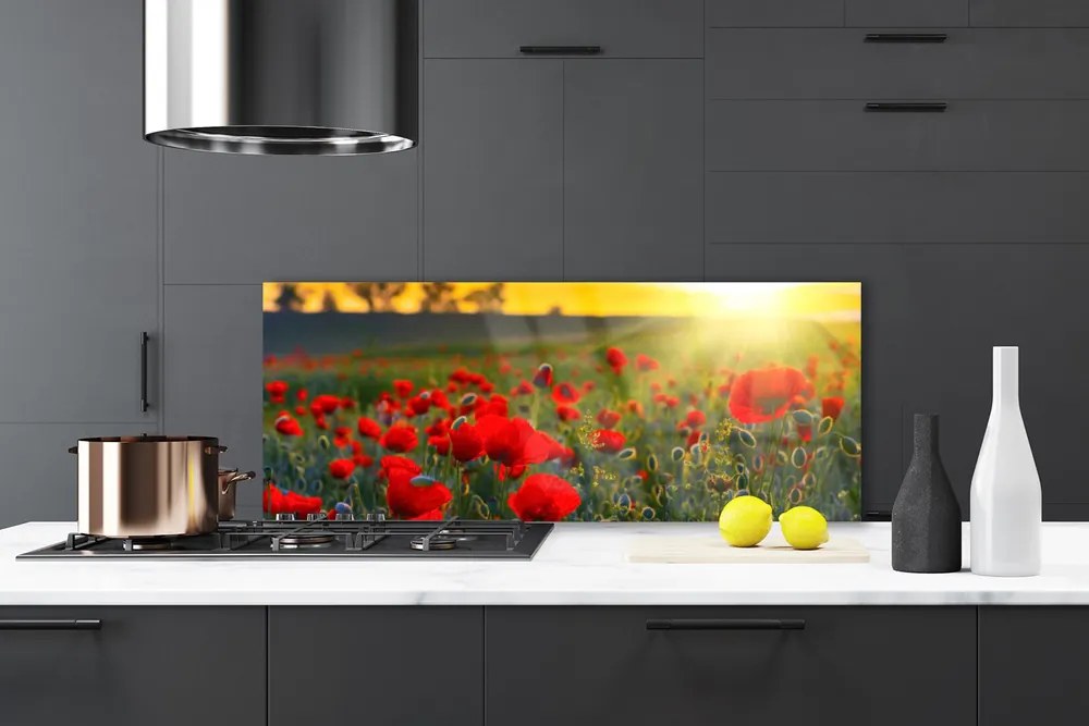 Panel Szklany Łąka Maki Roślina Natura