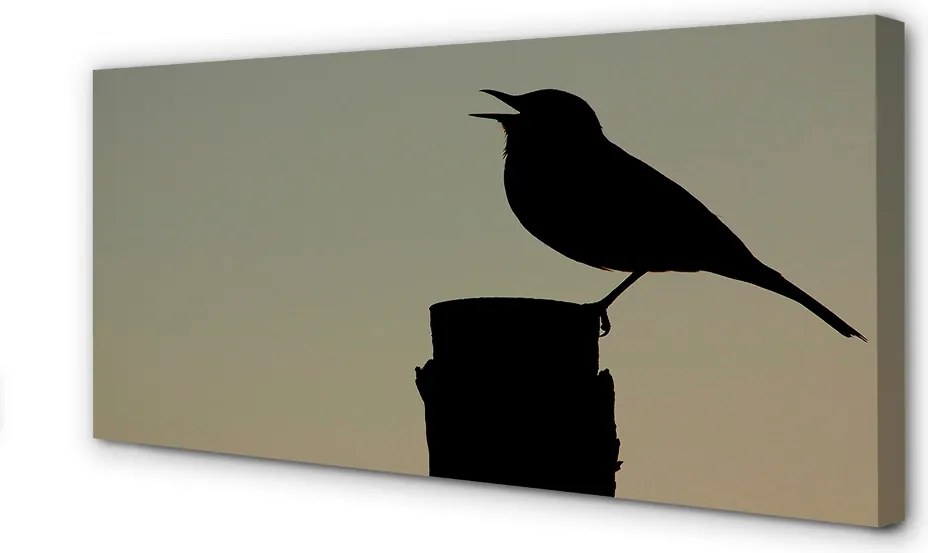 Obraz na płótnie Tajemniczy Czarny Ptak