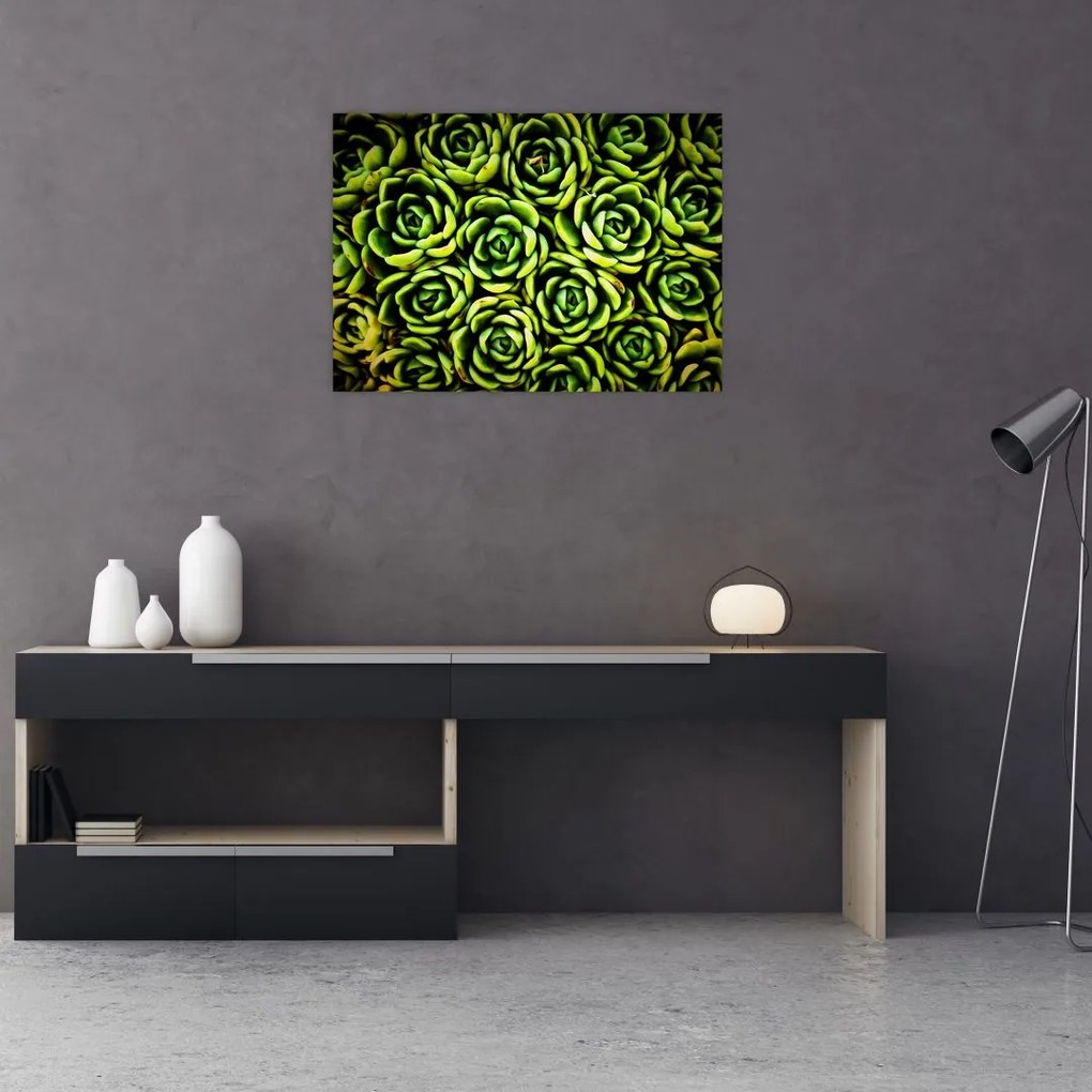Obraz na szkle bez grzywki (70x50 cm)