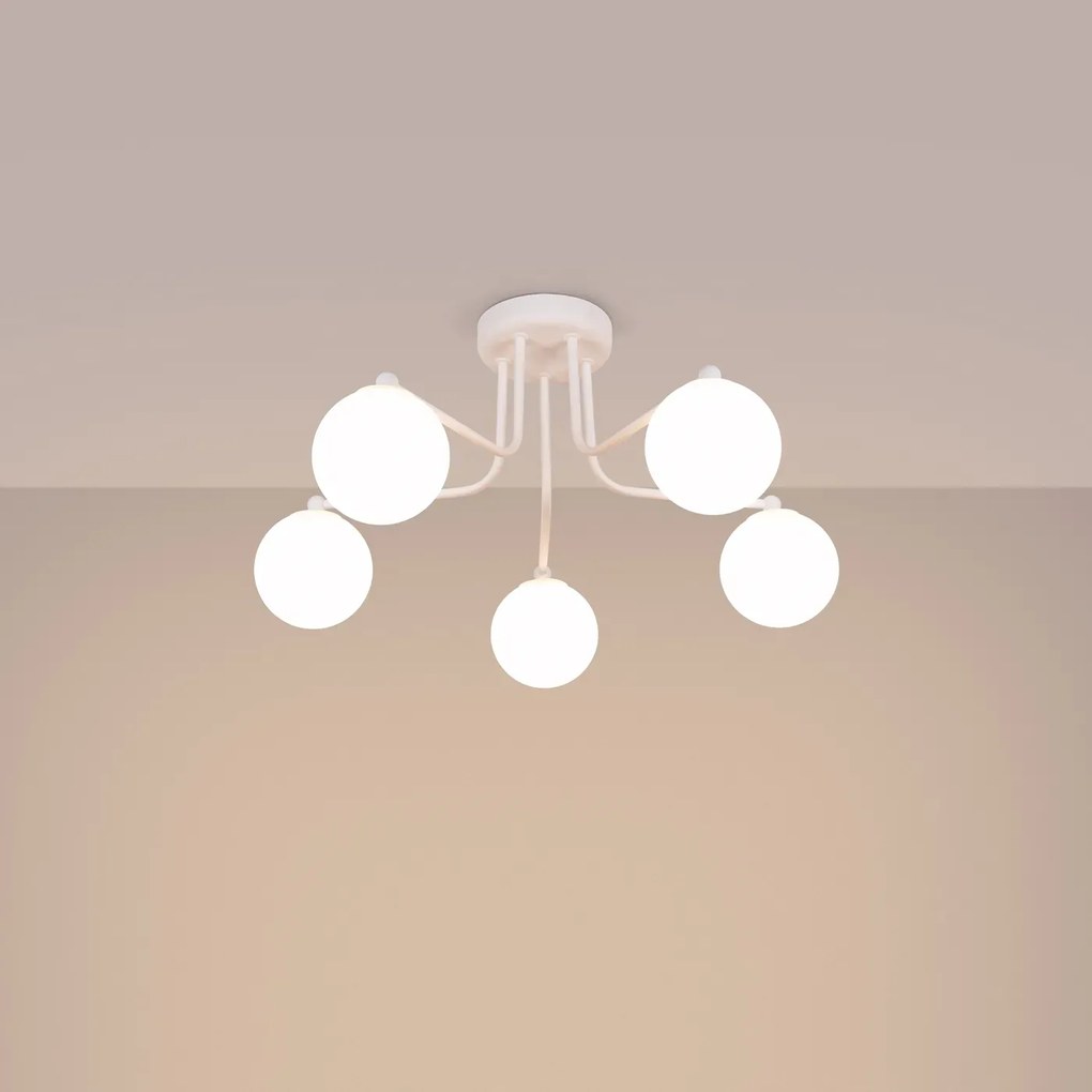 Żyrandol ASTRAL 5 biały SOLLUX LIGHTING