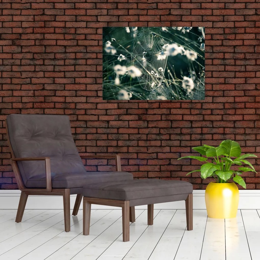 Obraz - Pajęczyna (70x50 cm)
