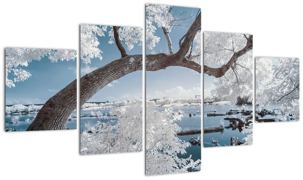 Obraz ośnieżonego drzewa nad wodą (125x70 cm)
