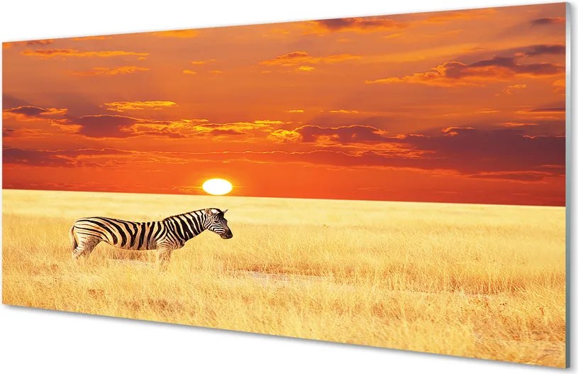 Panel nad Blat Kuchenny Zebra o Zachodzie Słońca
