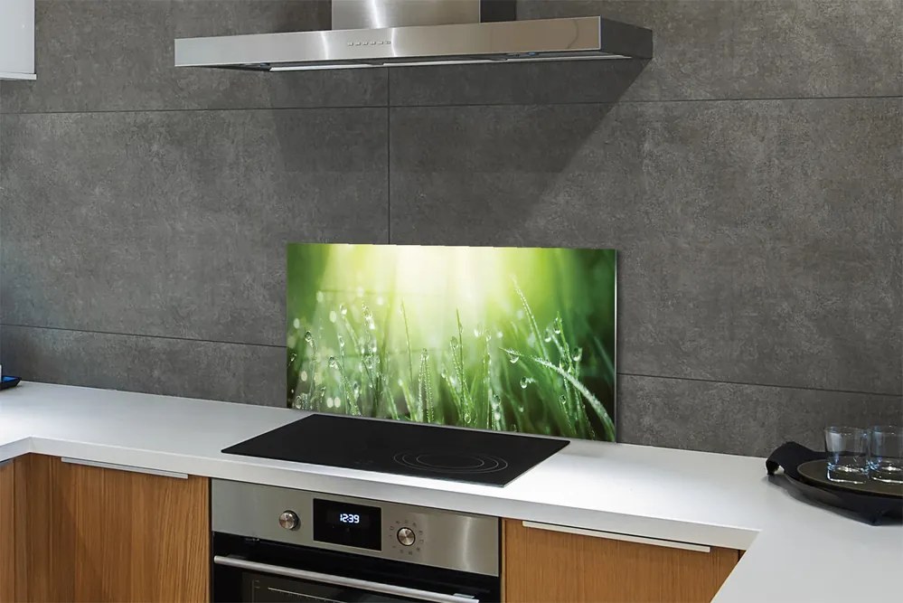 Szklany Panel Trawa w Promieniach Słońca