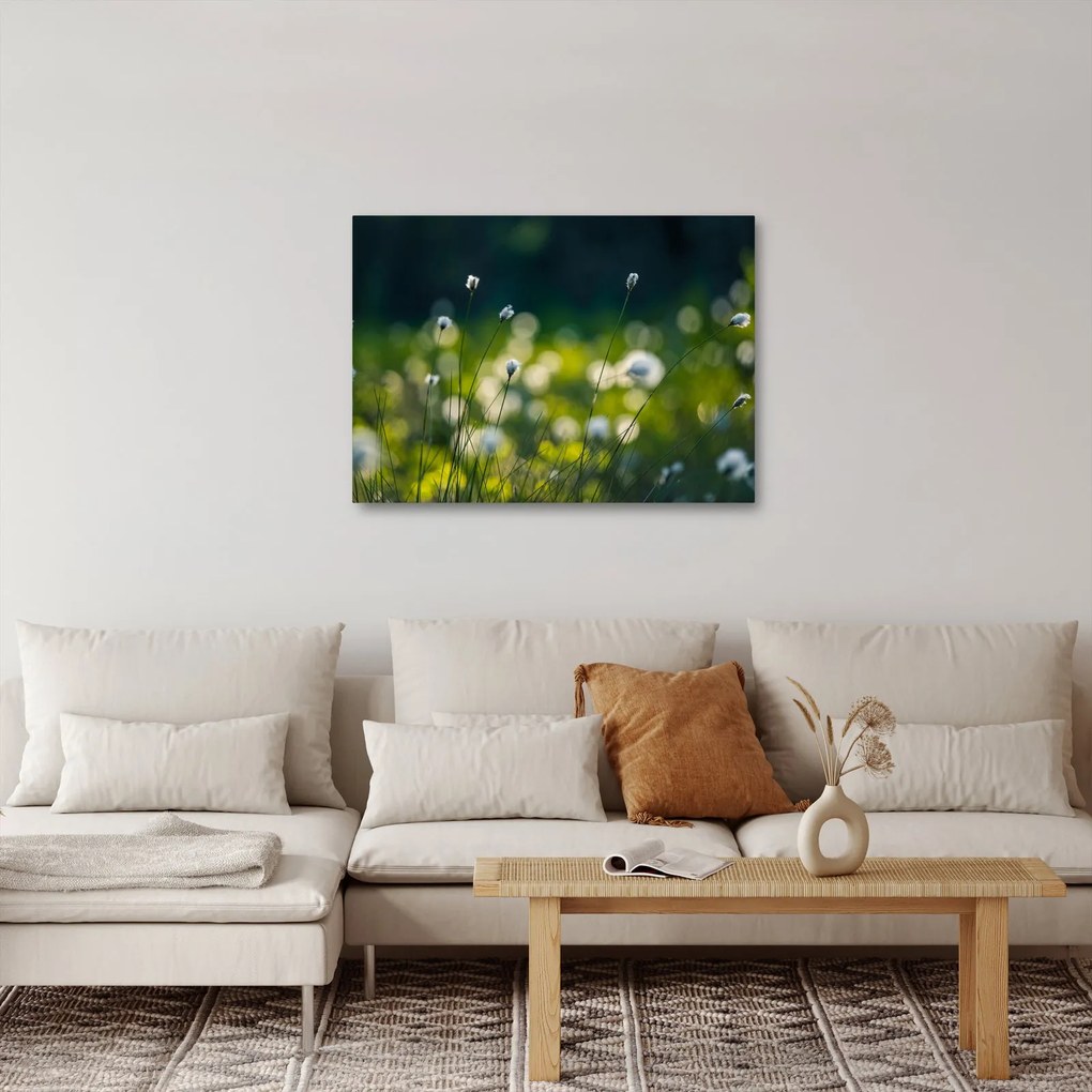 Obraz - Trawa (70x50 cm)