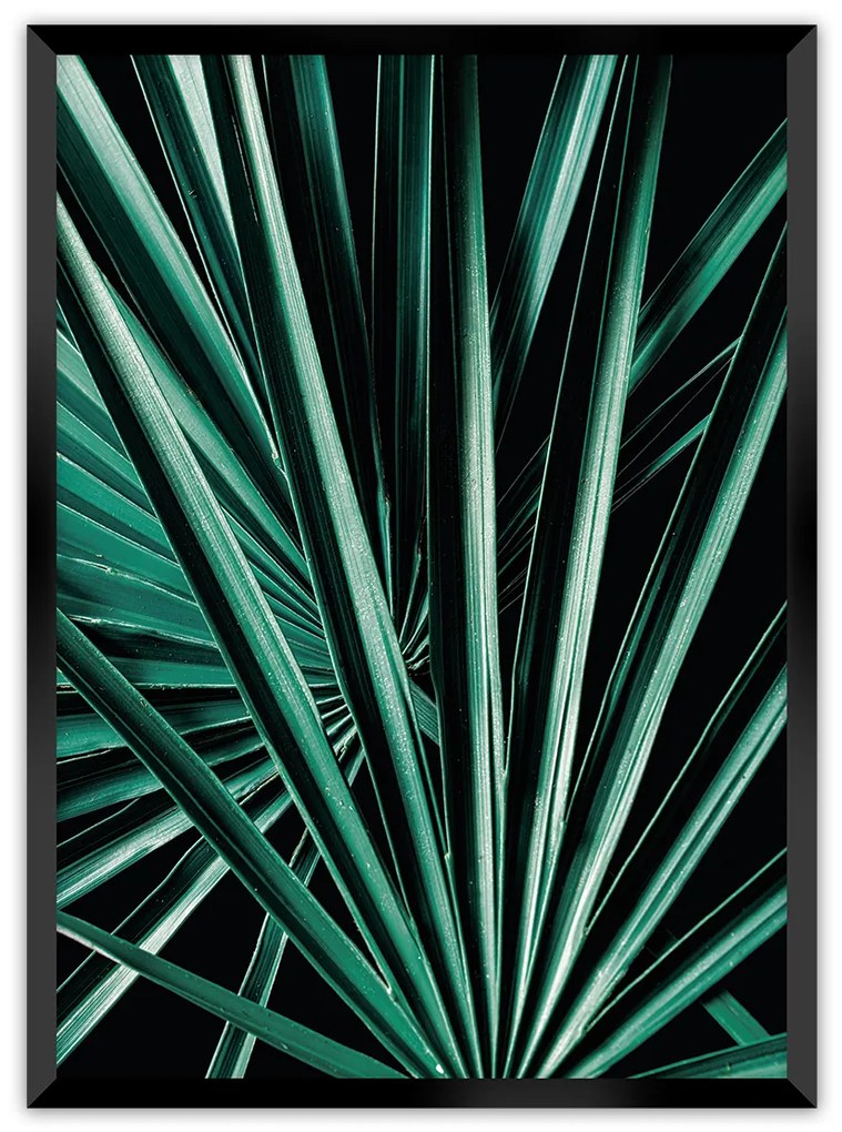 Plakat Dark Palm Tree