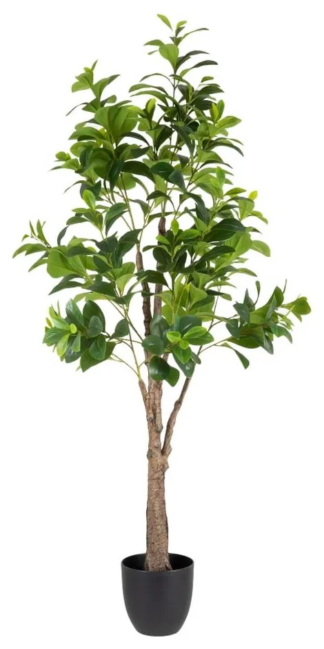 Sztuczna roślina (wysokość 145 cm) Peperomia – Ixia