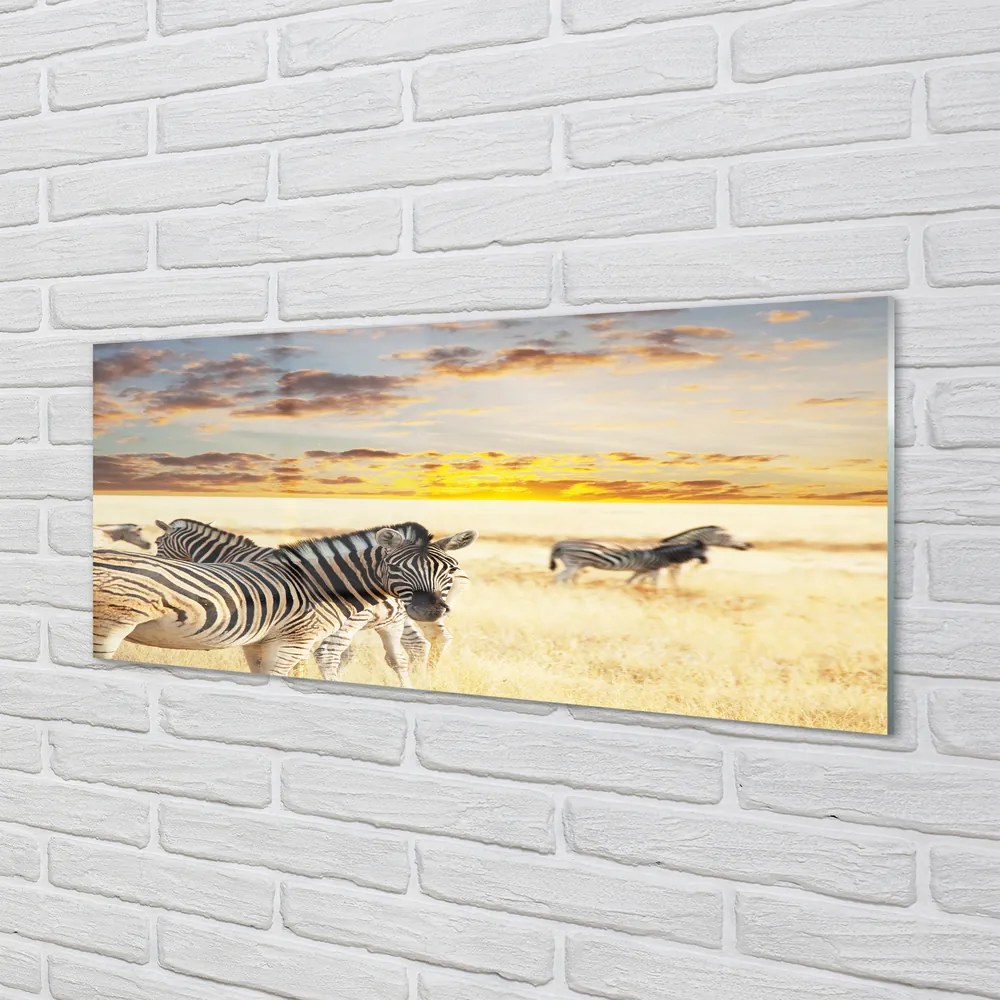 Panel nad Blat Kuchenny Zebry w Złotej Godzinie