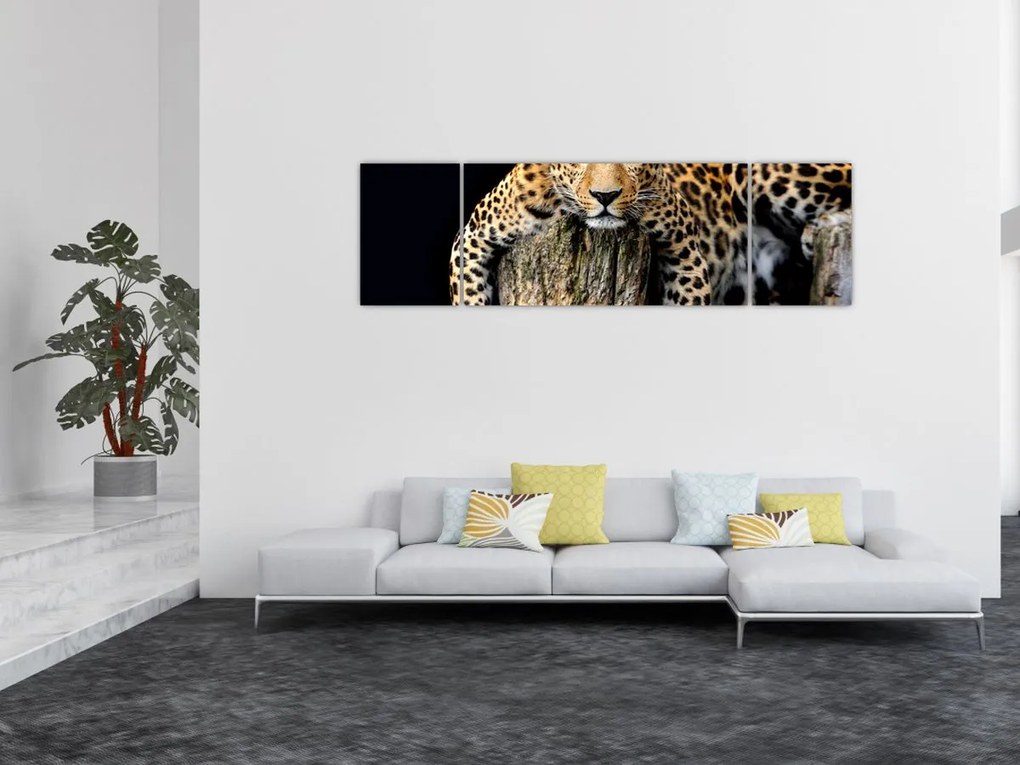 Obraz - Gepard (170x50 cm)