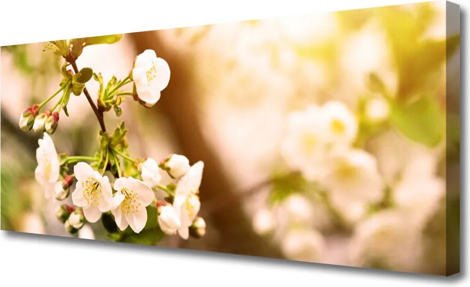 Obraz canvas Romantyczna Flora Ogrodowa