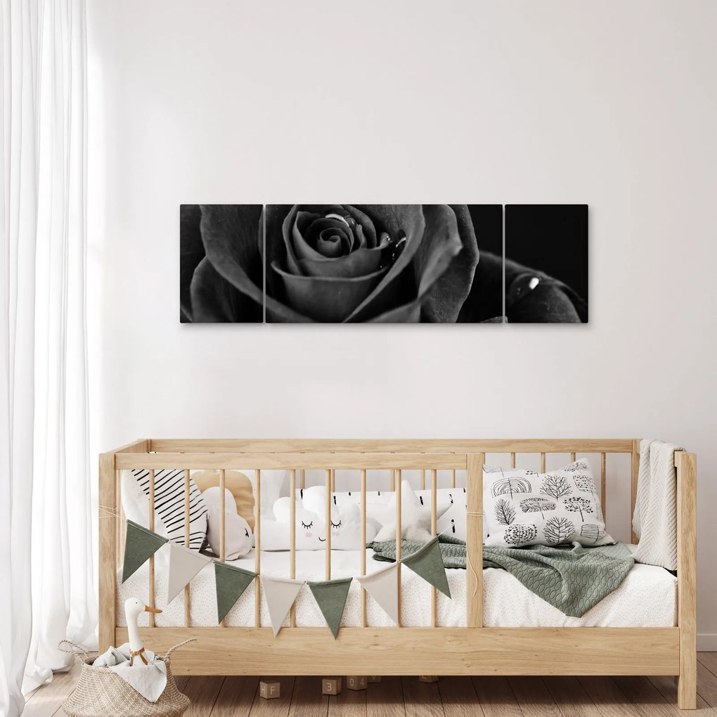 Obraz - Czerwona róża (170x50 cm)