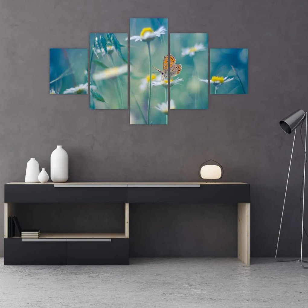Obraz - Motyl na stokrotce (125x70 cm)