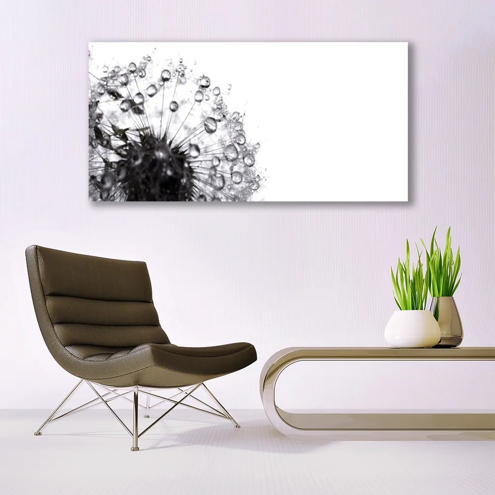 Obraz na płótnie Puszysty Mniszek Lekarski