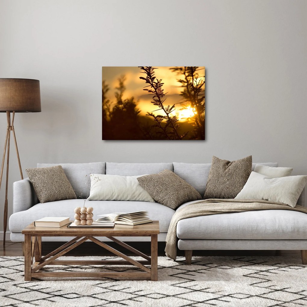 Obraz - słońce zachodzące za drzewami (70x50 cm)