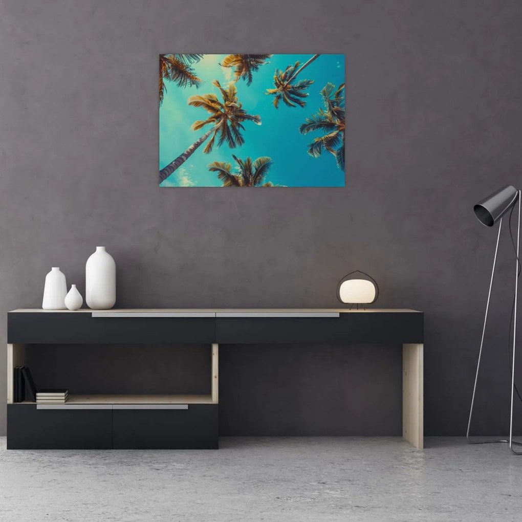 Obraz - Wysokie palmy (70x50 cm)