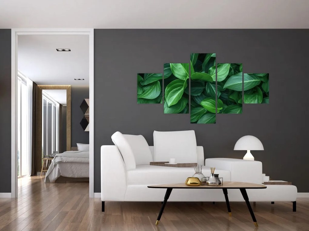 Obraz - Zielone liście (125x70 cm)