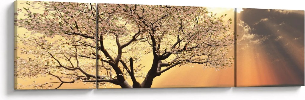 Obraz drzewa na łące (170x50 cm)