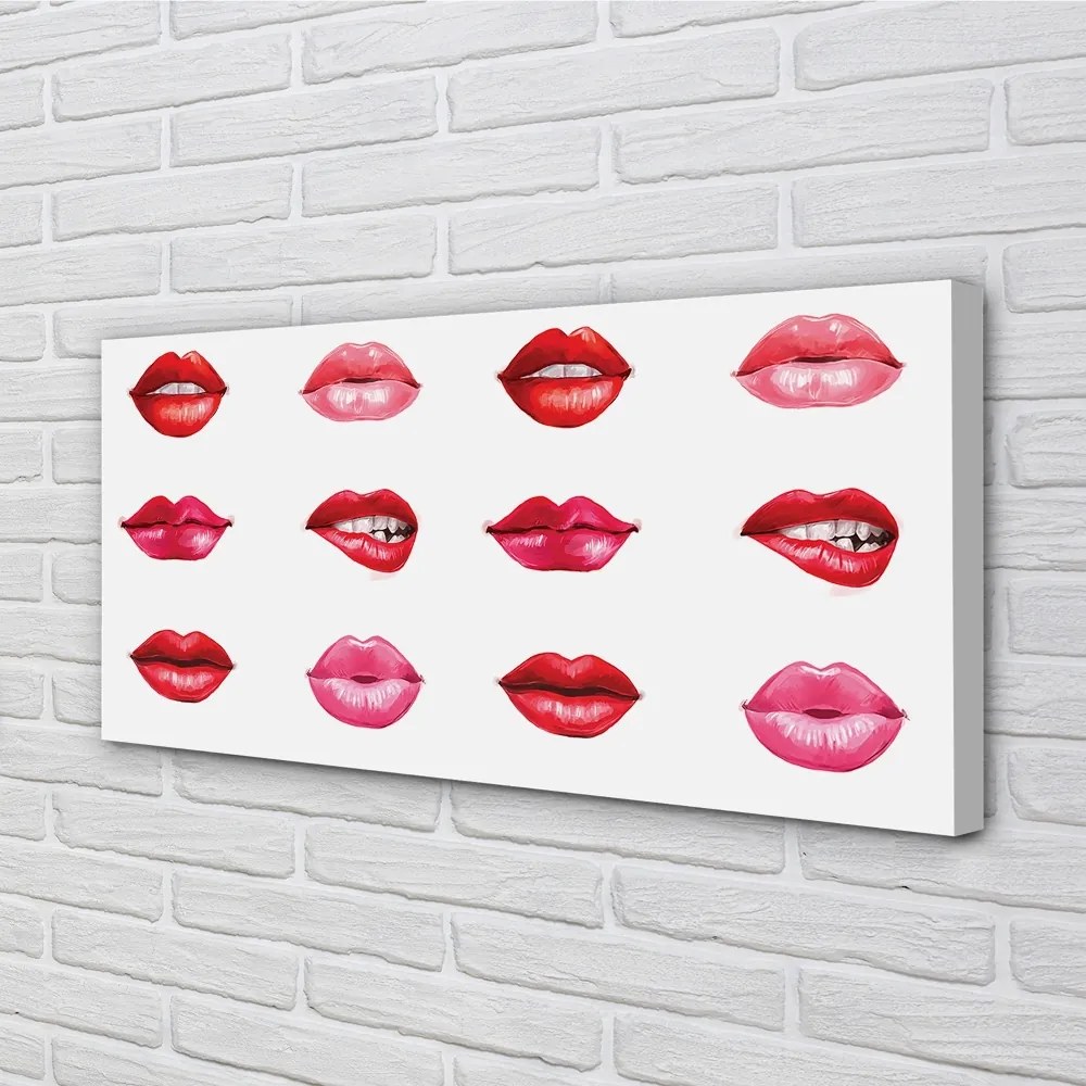 Obraz na płótnie Czerwień i Róż Ust
