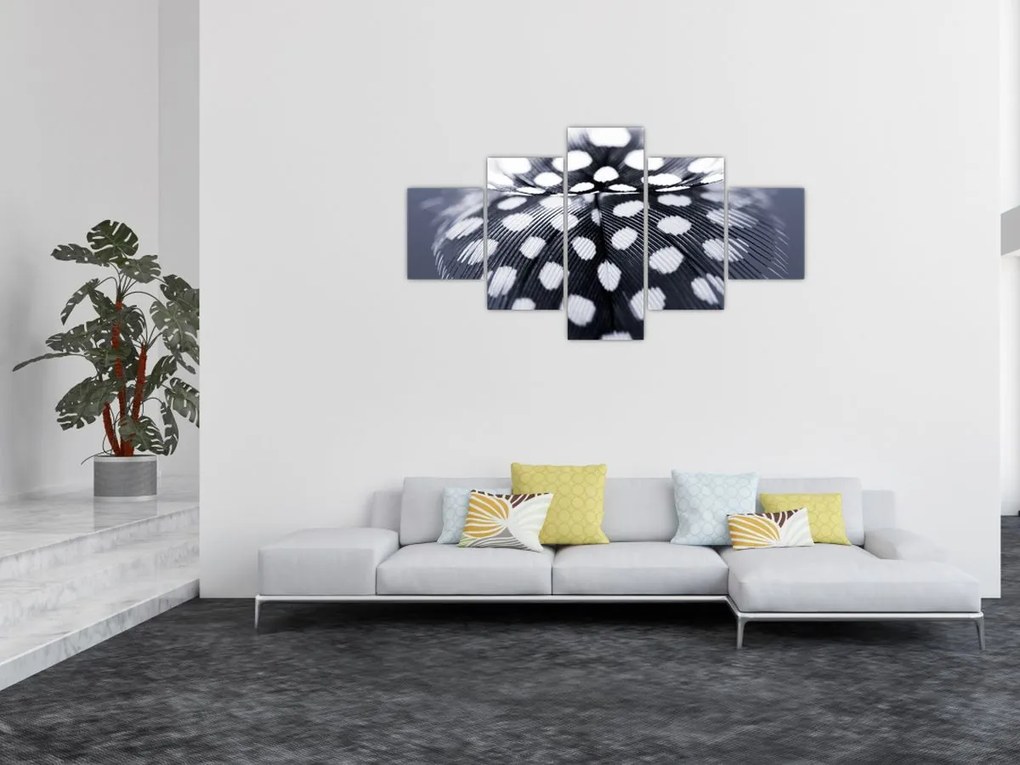 Obraz - Piórko (125x70 cm)
